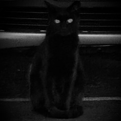 우린 결국 이렇게 (Prod.Puzz)