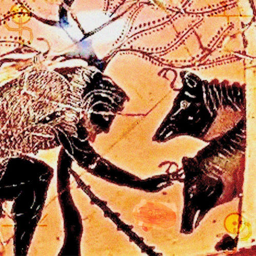 {{252}} polluted sands {{186}}  - w1tch x corvus (prod.shimaelok) #DogDayz