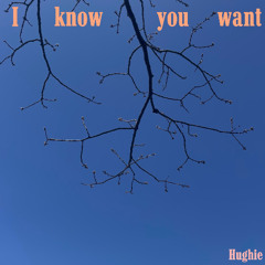 Hughie - I Know You Want