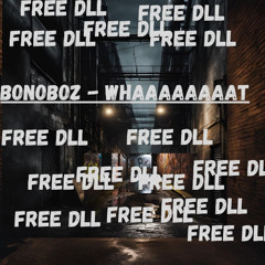 FREE DLL - BONOBOZ- Whaaaaaaaaat