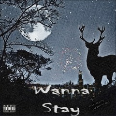 Wanna Stay (demo)