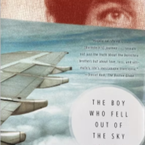 The Boy Who Fell Out of the Sky by Ken Dornstein