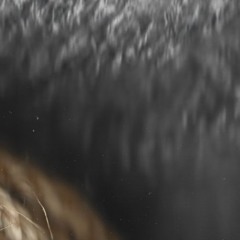 Tempestade de Taturana (Kaostico Remix)