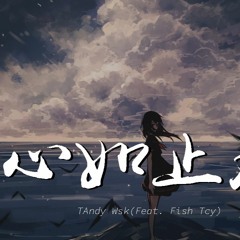 Andy Wsk - 心如止水 Future RNB 改编 (Feat. Fish Tcy)【動態歌詞/Lyrics Video】