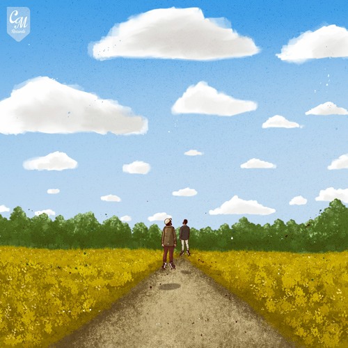 Towerz & C4C - Softly