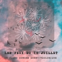 Les Feux Du 14 Juillet
