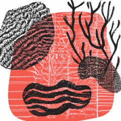 Releases and Remixes