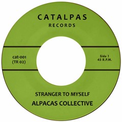 Alpacas Collective - Stranger to myself