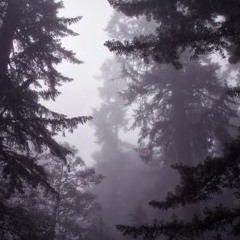 Lady Tsunade ft. Hbk Ronny (p. Zai) [guap remix]