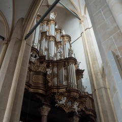 Bovenkerk Kampen (NL) - Hinsz organ (Sweelinq)