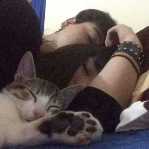 I wish you could i see that im a person too sad edit audio slowed down