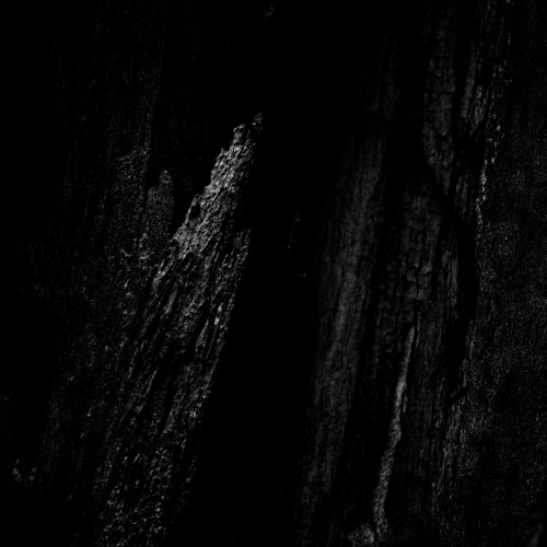 Lost In Ether | P R E M I E R E | Hybral - Echoed Entropy