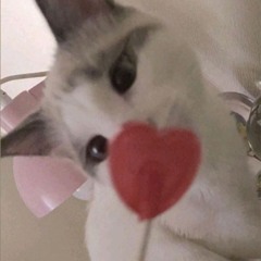 just came 2 say hello =)