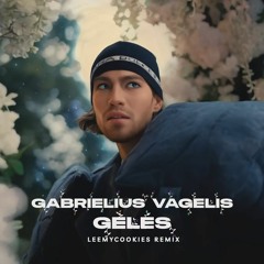 Gabrielius Vagelis - Gėlės (LeeMyCookies Radio Edit)