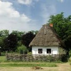 Flamenca Hungarica - Hungarian folk song & flamenco