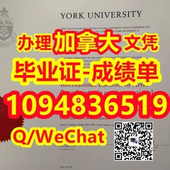 硕士York毕业证成绩单办理