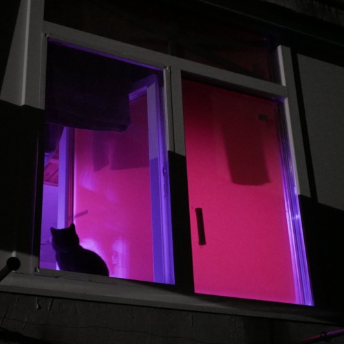 Chernoburkv givememoreeeeee - Не помню