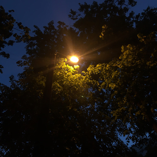 оральные хулиганы - подводя итоги 2