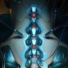 vital_organs