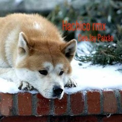Hachico rmx
