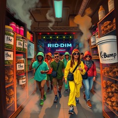 Mindbendr - Riddim Pharmacy.mp3