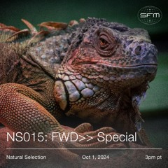 NS015: FWD>> Special