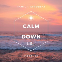 Calm Down Remix Tamil x Dancehall