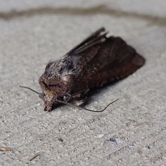 Not Perfect (prod. KeeprWeakr)