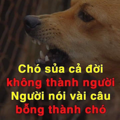 Chia Cach Binh Yen Mix