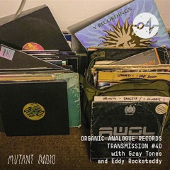 Organic Analogue Transmission #40 With Gray Tones B2B Eddy Rocksteddy [30.12.2023]