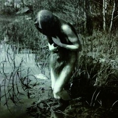 Vyötäröstä ylöspäin halvaantunut