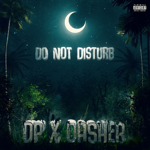 DPdaking & Dasher2tc: Do Not Disturb