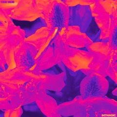 Odd Mob, GUZ - Intrinsic (GUZ Remix)
