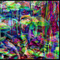 going over it. | untitled project 002 sessions | ambient atmospheric psyche space drone horror WIP | gravel 1 55 bpm take 1 32325