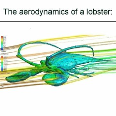 the aerodynamics of a lobster