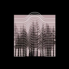 d.e.c.l.a.y - WeichWald 008