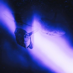 D'ussé & Lemonade (ft. A.xios) [Remix] [Prod. Vassey]