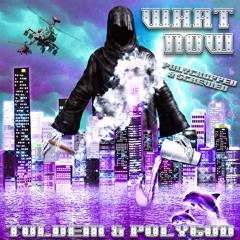 TOLDEM - WHAT NOW (POLYCHOPPED & SCREWED)
