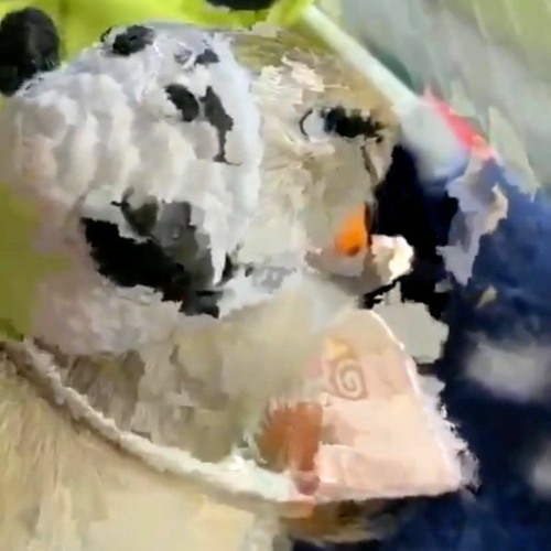 ❝᷀ົཽ≀ˍ̮ ົཽ