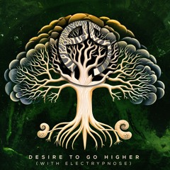 Desire to Go Higher (Original mix)