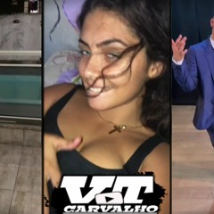 GOSTOSINHO TU CAI, MAIS POSTAR FOTO NÃO VAI, INDESCRITÍVEL,  MC PEPEU VERSÃO RJ[VT CARVALHO] TIK TOK