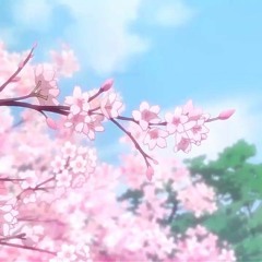 H A K U - 新しい人生を始めたい