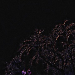 lebxanon - dub (p. bonxpf, gxmini)