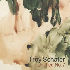 Troy Schafer - Untitled No. 7 (excerpt)