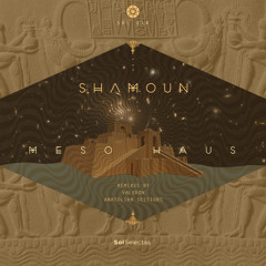 Premiere: Shamoun - Meso Haus (Anatolian Sessions Remix) [Sol Selectas]