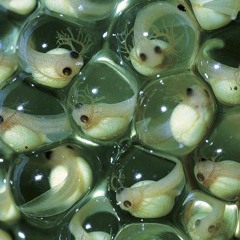 jungle bacteria (stoicfaced)