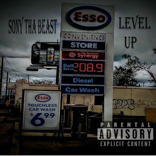 Sony Tha Beast - Level up