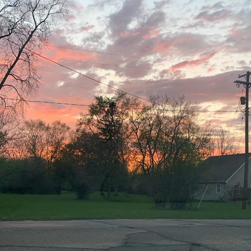 diffidence | prod. neverforever