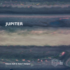 PREMIERE: Future Self - Jupiter (Original Mix) [Self Control Records]