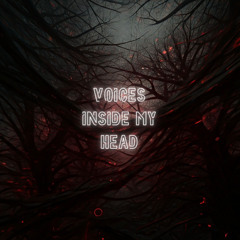 Voices inside my head (Original Mix)